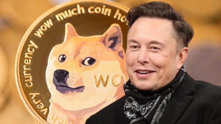 elon musk con dogecoin