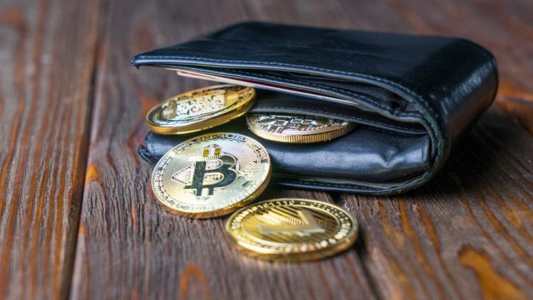 wallet de bitcoin y criptomonedas