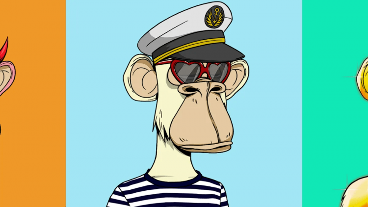 nfts de bored ape yatch club